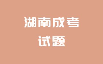 2024年湖南成考高起点《语文》模拟试题(1)