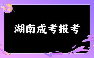 2024年湖南成考报考的方式